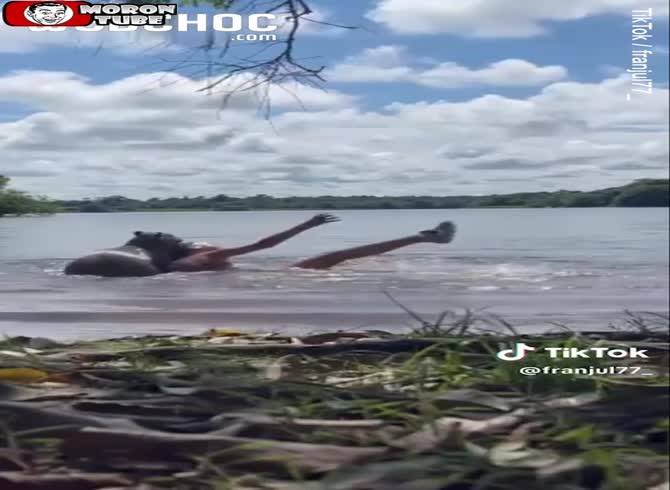 Video :Colombian woman assaulted by capybara